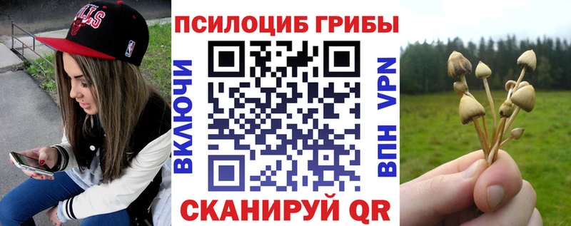 Галлюциногенные грибы Magic Shrooms  Сельцо 